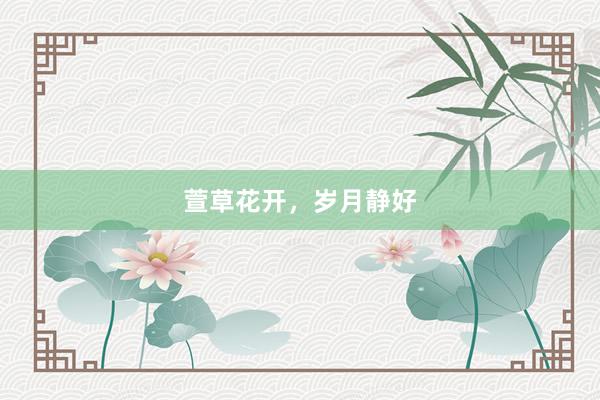 萱草花开，岁月静好