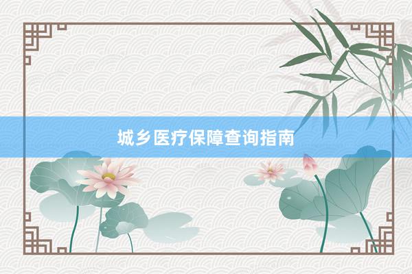 城乡医疗保障查询指南
